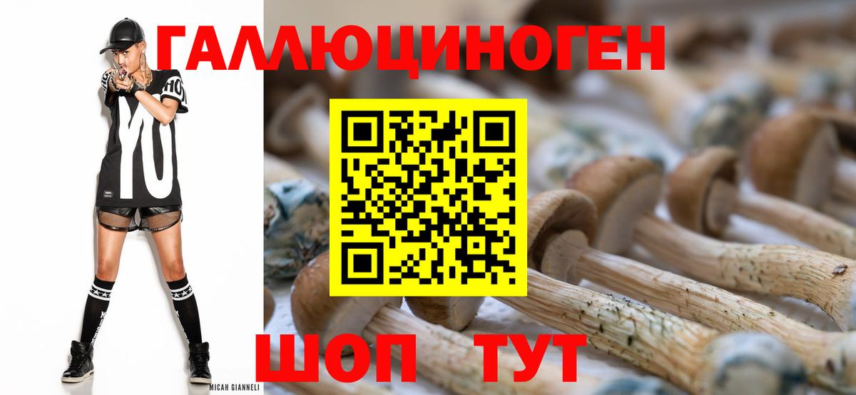 Псилоцибиновые грибы GOLDEN TEACHER  Вход с VPN  Унеча  Псилоцибиновые грибы Cubensis 